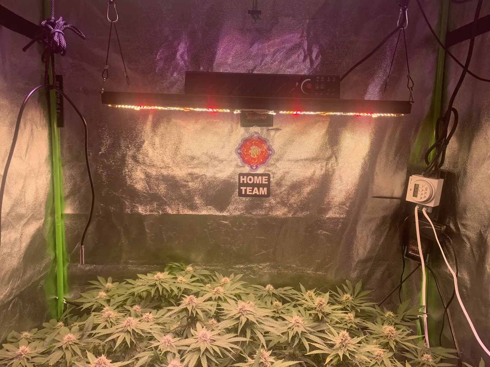 240W grow light for an indoor tent, photo 1