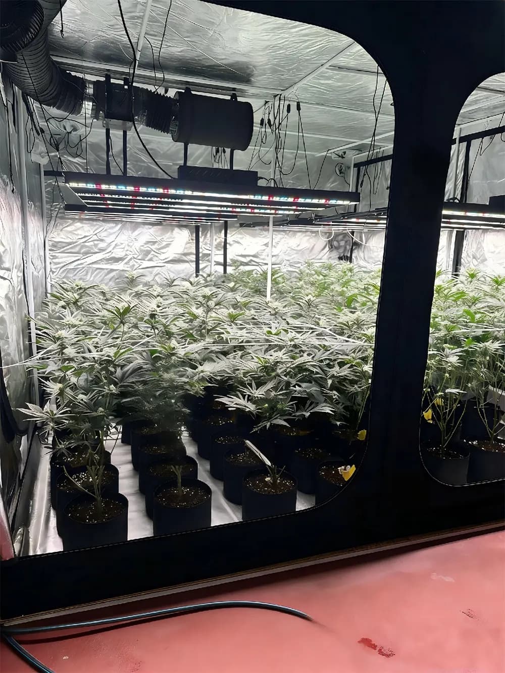 300×300×220 cm grow box complete set, photo 1