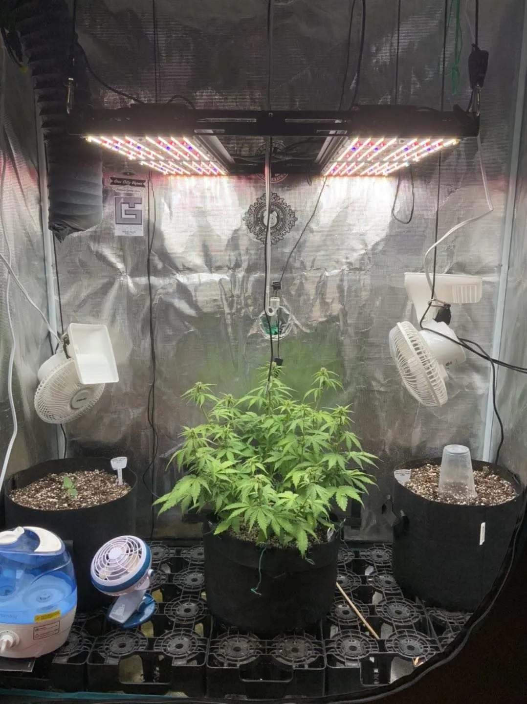 480W Pro Samsung LED plant light, photo 1