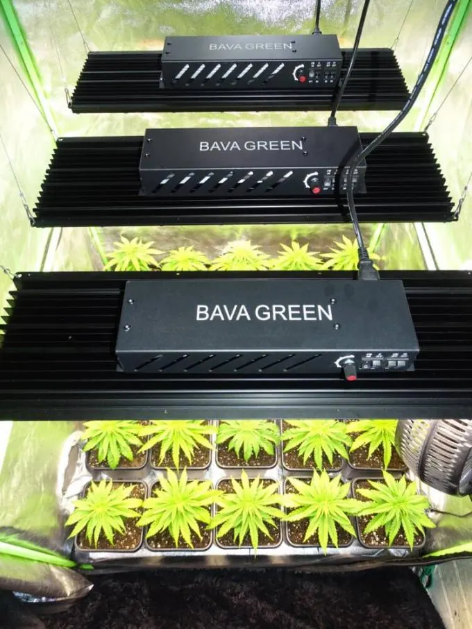 720W Pro grow light for a 5×5 ft tent, photo 3