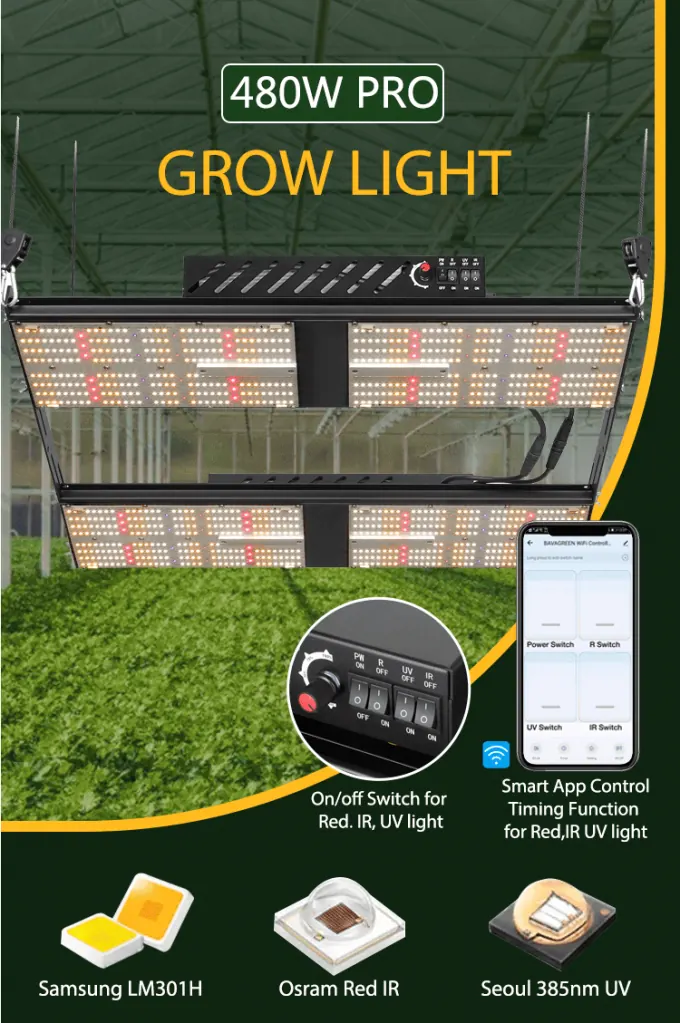BAVAGREEN 480W for a 4×4 tent, photo 2