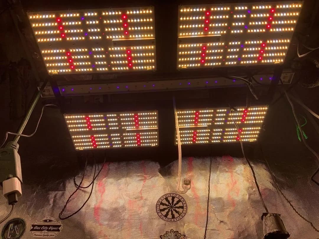 480W grow light with a UV booster, photo 1