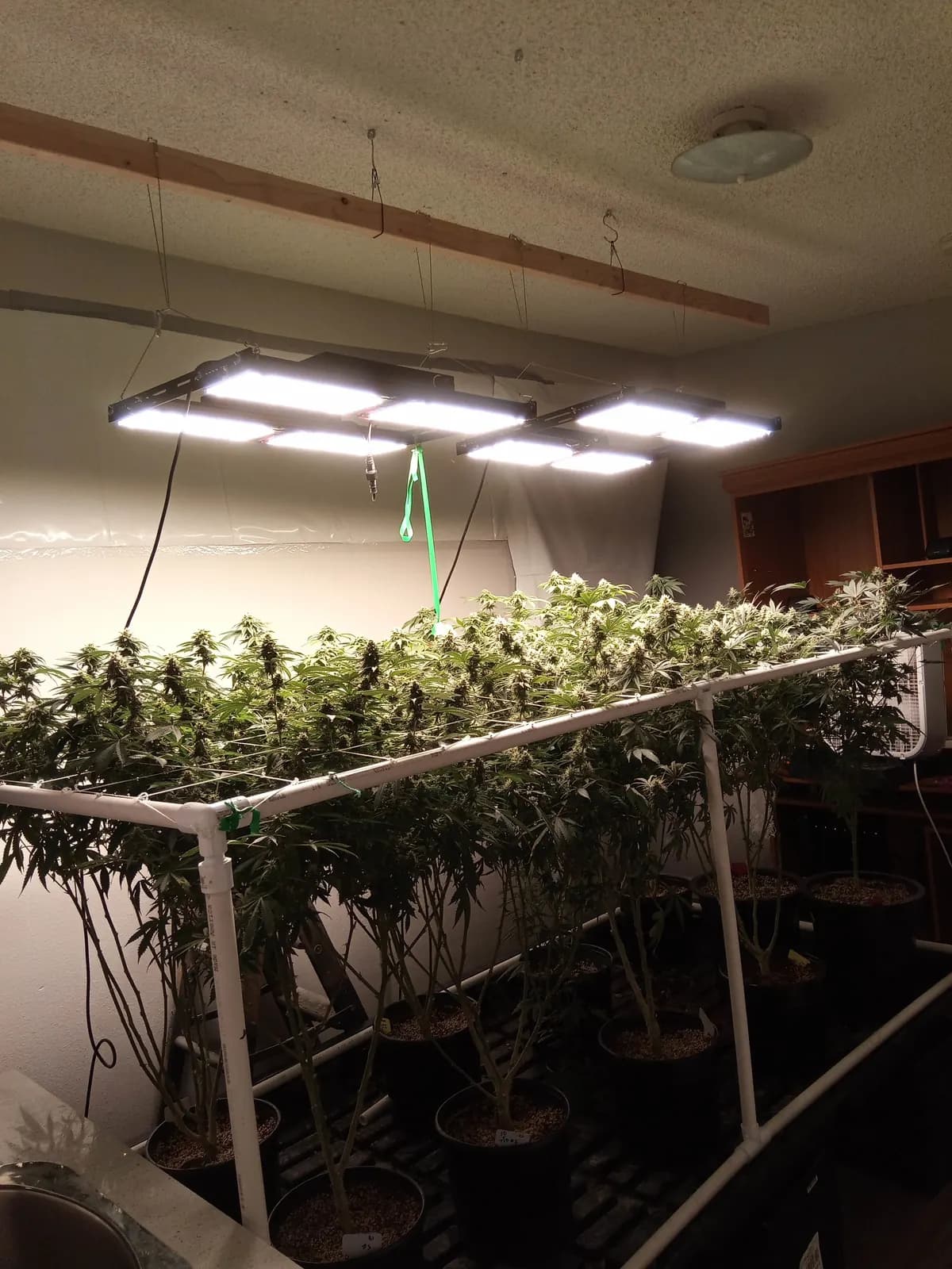 Samsung LM301H 480W LED grow light, photo 1