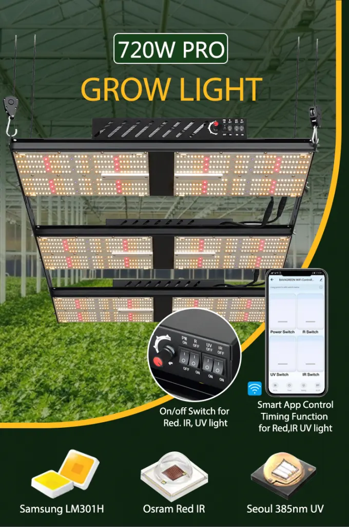 Grow room with 720W lights, photo 2