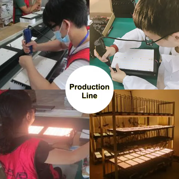 BAVAGREEN production equipment