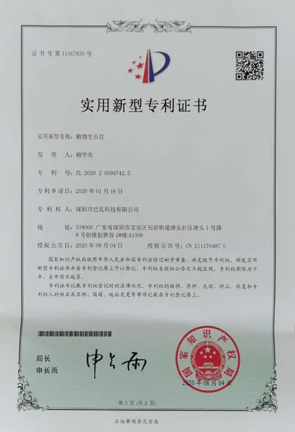 China patent ZL2020 2 0099742.5