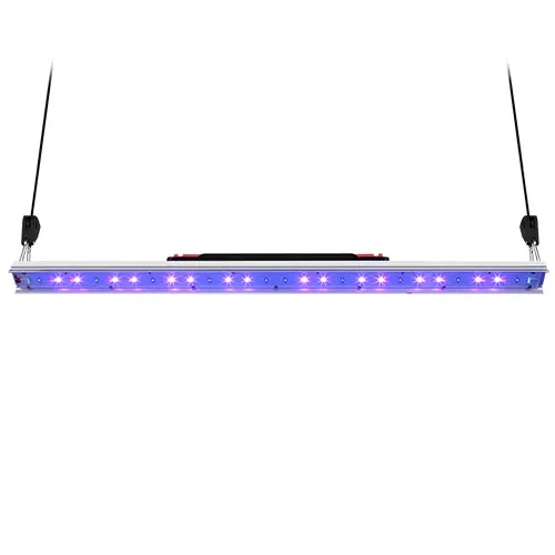 UV in a grow room, photo 1