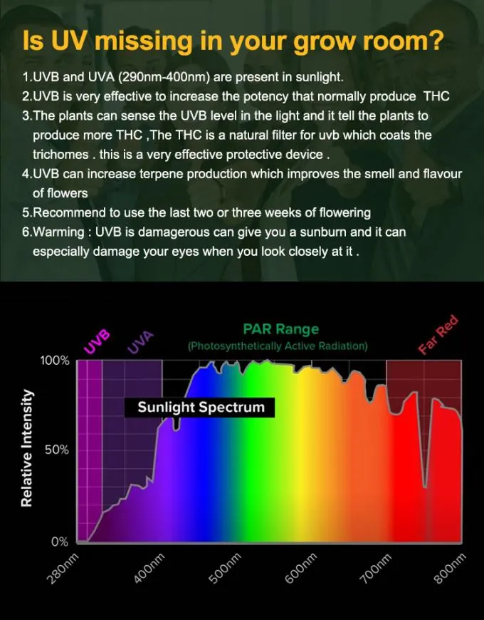 UV in a grow room, photo 2