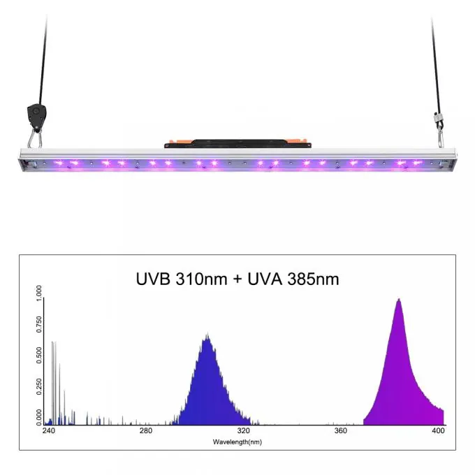 UV in a grow room, photo 4