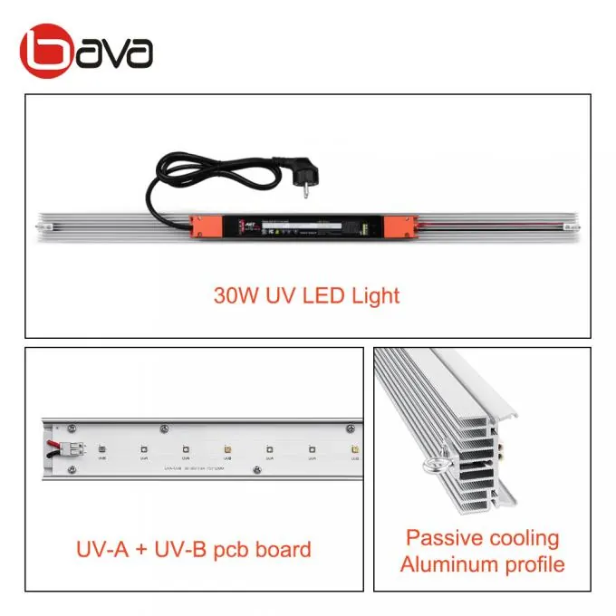 UV in a grow room, photo 6