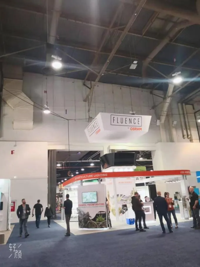 MJBizCon 2019, Las Vegas, photo 6
