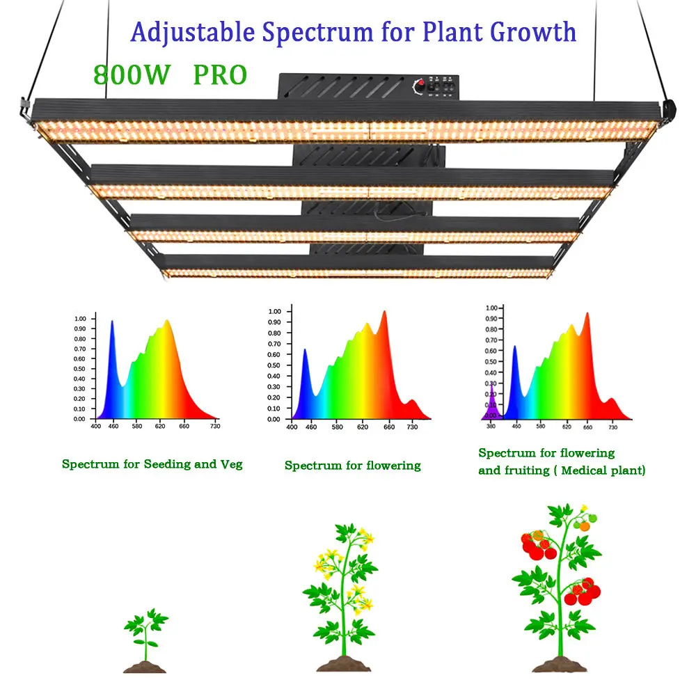 Oslon Ssl 800W Hydroponic Led Grow Lights SAA UV Dimmable