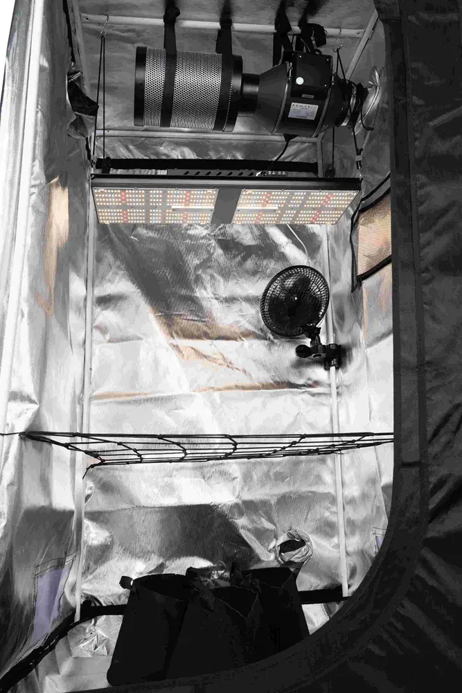 3 Plants Smart Grow Tent Set 1680D Mylar 80x80x180cm Grow Box with240W Samsung LM301H LED Lamp and WiFi APP Fan