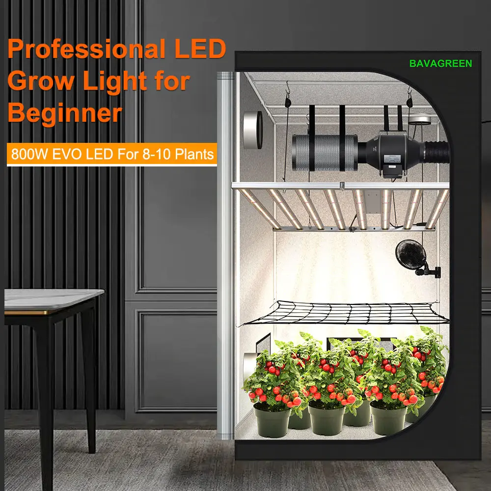 BAVAGREEN 800W Samsung LM301H EVO Commercial Plant Lamp Full Spectrum UV IR LED Grow Light for Horticulture Greenhouse