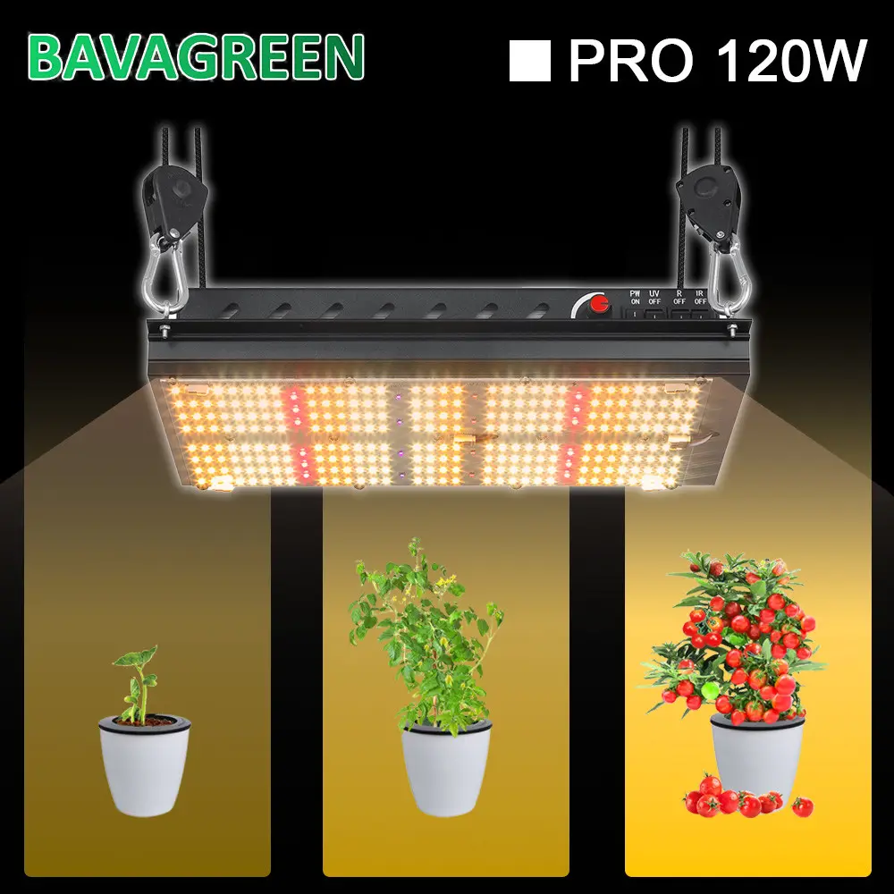 3000K 5000K LM301B Quantum Board 120W Samsung Indoor Garden Led Grow Lights