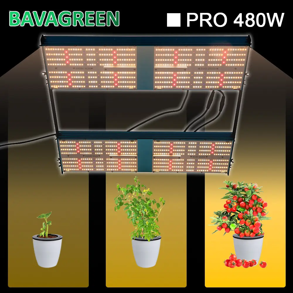 480W OSLON 660nm Greenhouse Grow Lamps SAMSUNG LM301B With Meanwell Driver