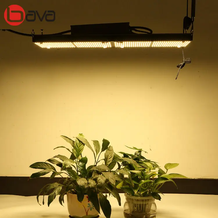 3500K 285*165mm PCB LM301B LED Grow Light Meanwell Driver
