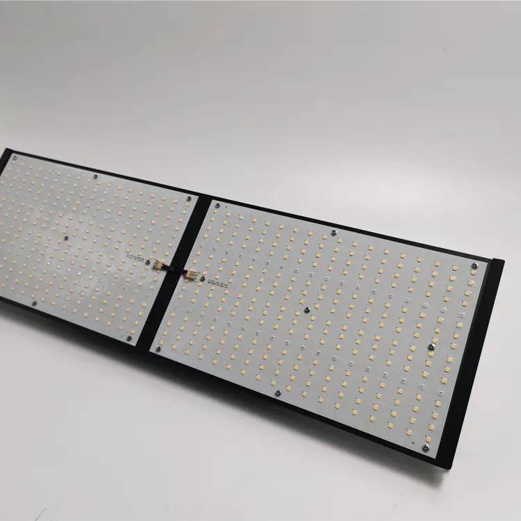 IP20 LM301B LED Grow Light V4 Blue Red 240w 2x4 Greenhouse Grow Lamps