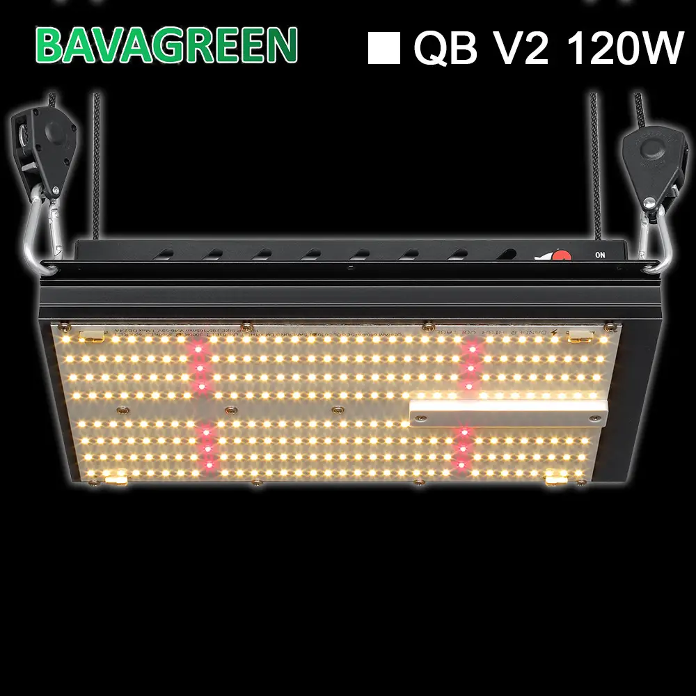 Bava Greenhouse Grow Lamps Samsung Lm301b SAA Led Vertical Grow Light