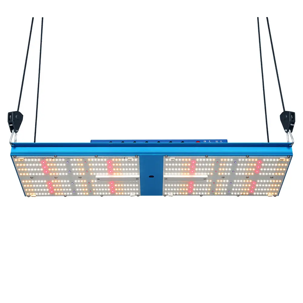 ETL LM301H Quantum Board