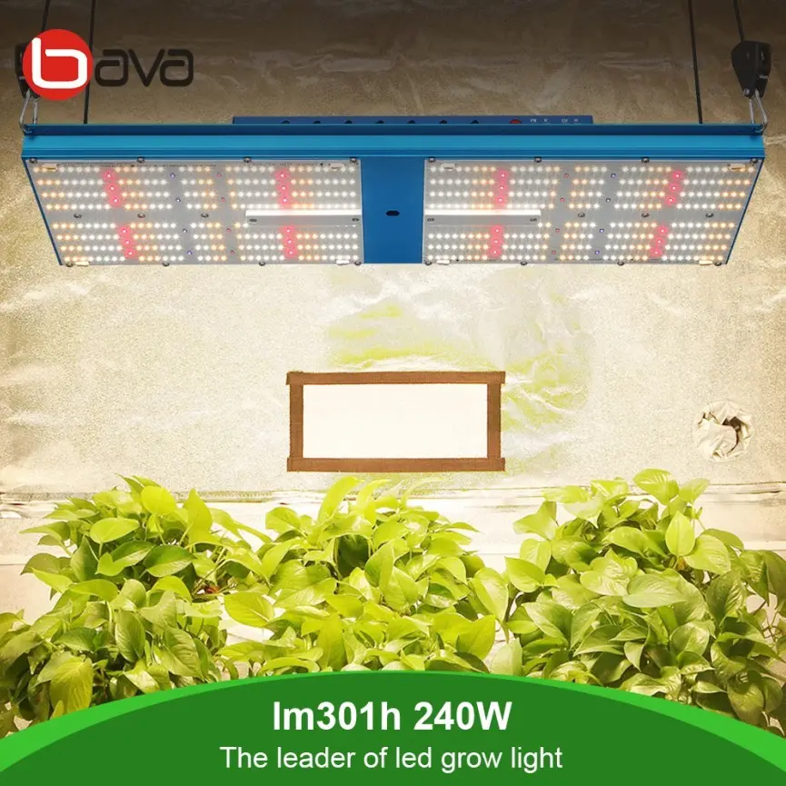 240W SAMSUNG LM301H Board V4 QB 550 UV IR LED Grow Light Meawell Driver