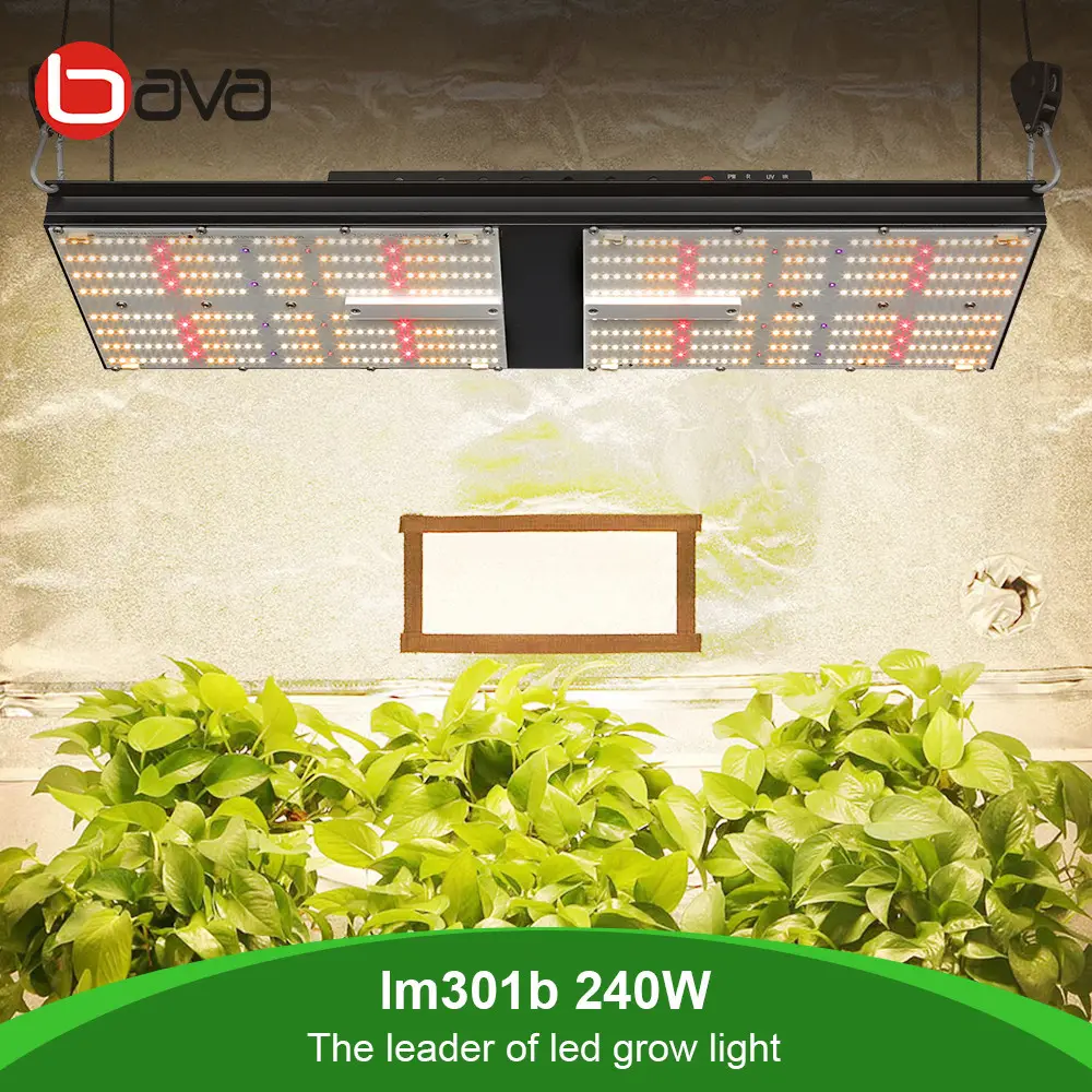 Samsung LM301H Quantum Board Led Grow Light 240W For Medical Plants