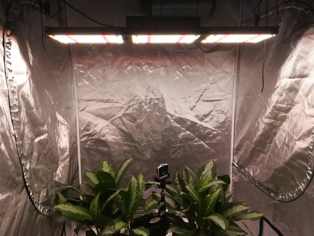 5000K Full Spectrum LED Grow Lights