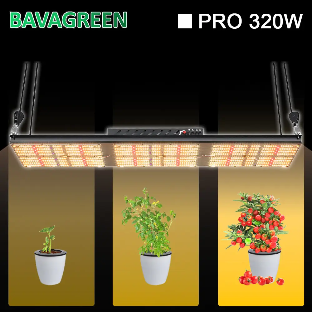 832 Umol/S SAMSUNG LM301H LED Grow Light 320W 60x120x200mm