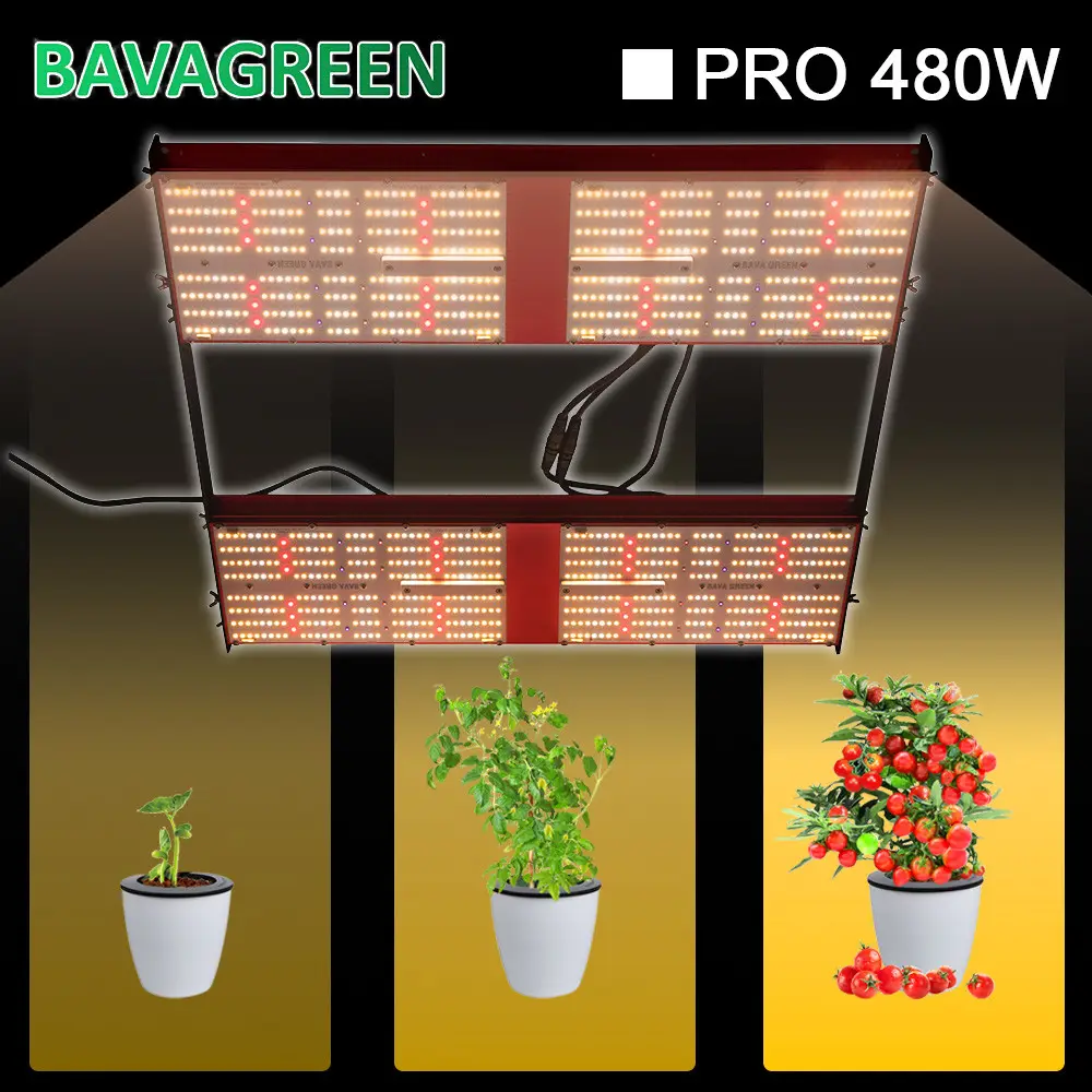 AC277V 480w LM301H LED Grow Light Hydroponic Led Grow Light ETL
