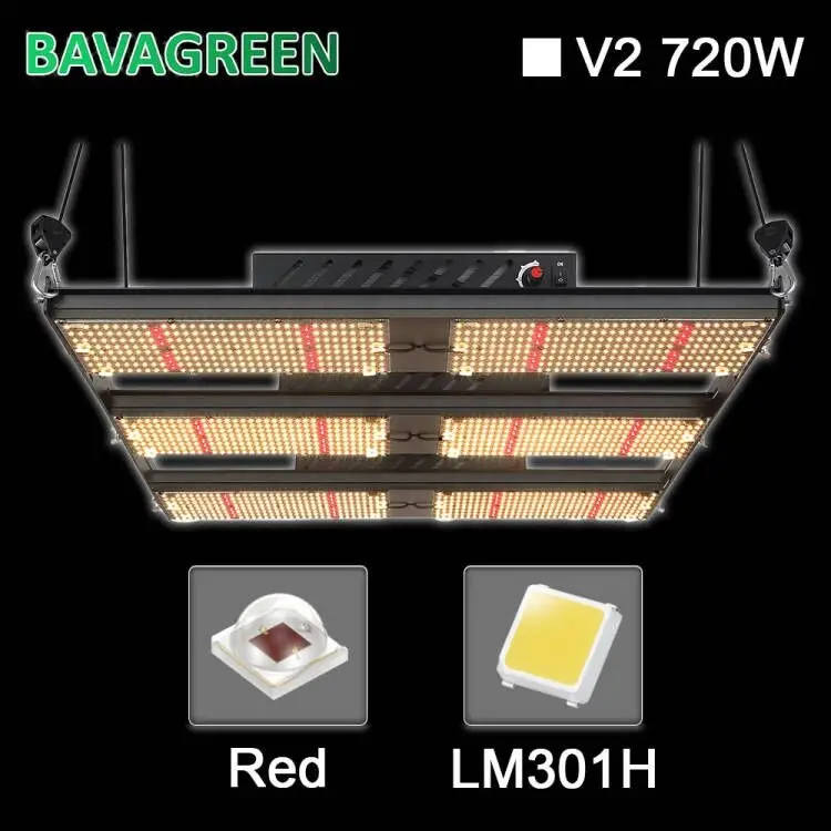SAA Hydroponic LM301H Seoul 385nm 720W LED Grow Light For Indoor Plants