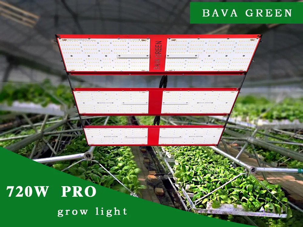 720w 3000k 5000k Full Spectrum Led Grow Light Samsung 301h 1872Umol/s