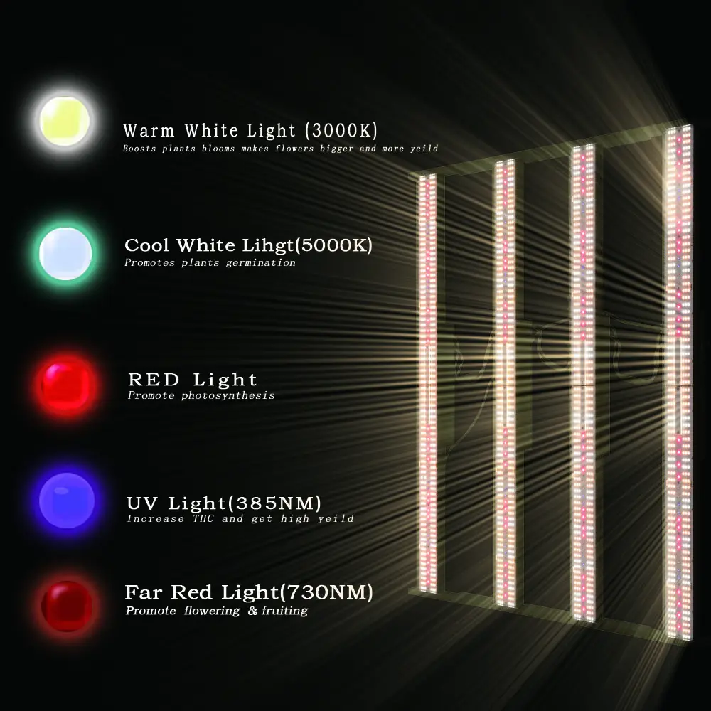 Hydroponic Tent 800W LM301H LED Grow Light 2080umol/S Full Spectrum