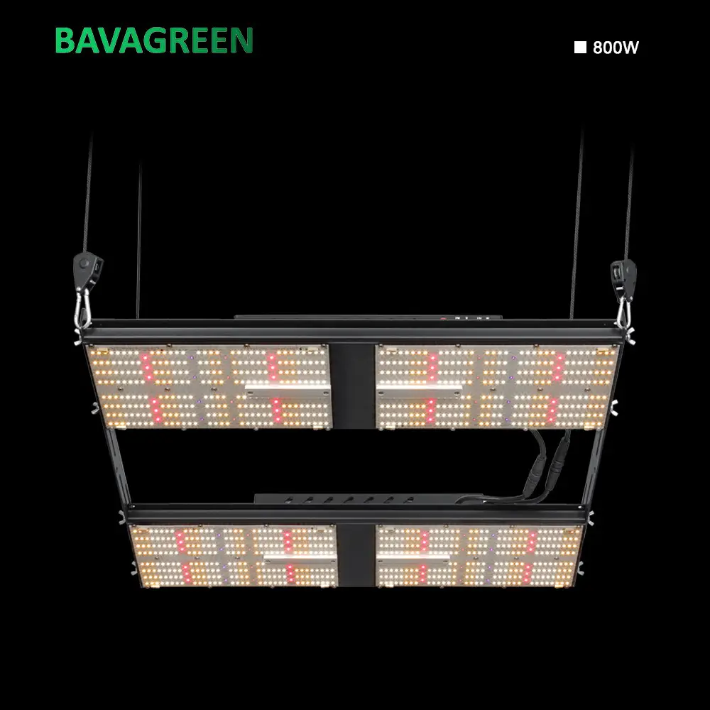 1248umol/s LM301H LED Grow Light