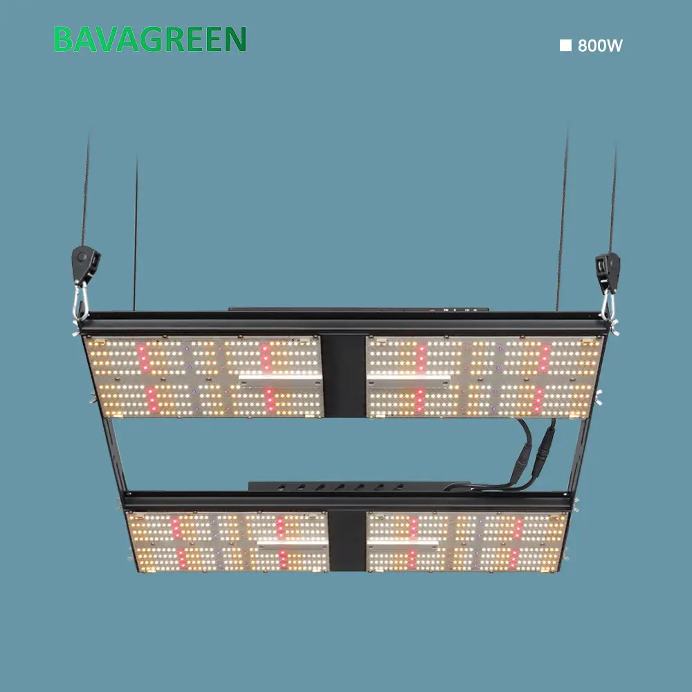Bavagreen 480W LED SAMSUNG Board LM301H 4x4 Dimmable Full Spectrum