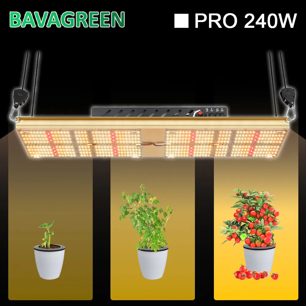 THC CBD 624Umol/s Hydroponic LED Grow Light 240w Quantum Board