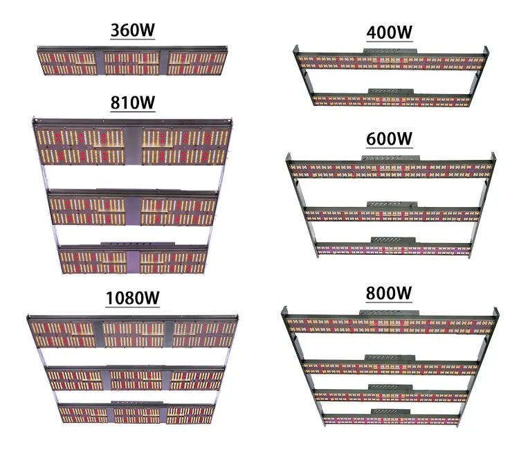 1080W Full Spectrum LED Grow Lights 5X5 5000K Cool White 2.65umol/J