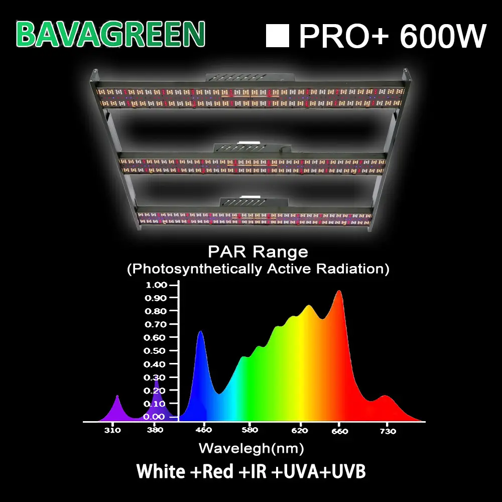Samsung lm301H Full Spectrum LED Grow Lights 4X4 Tent 600W Preassembled