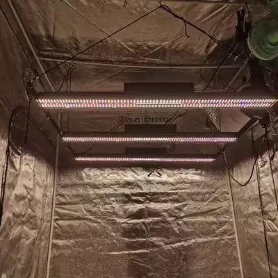 etl samsung led grow light bar online manufacturer