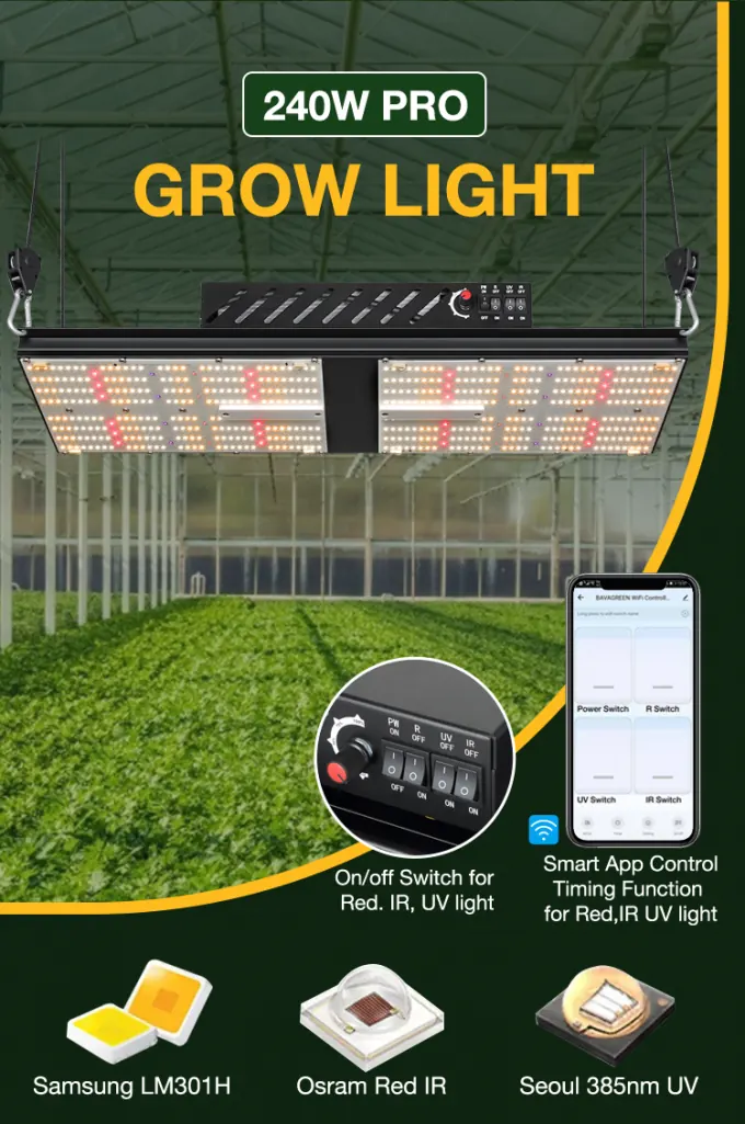 2×4 grow tent kit for cannabis growing, photo 2