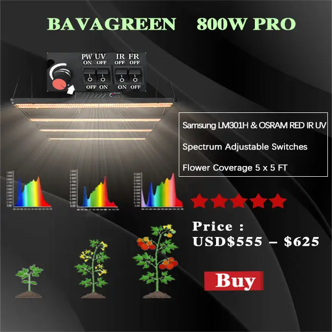 800W UV IR LED Grow Light